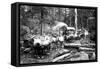 Loggers and Their Logs-Clark Kinsey-Framed Stretched Canvas