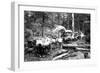 Loggers and Their Logs-Clark Kinsey-Framed Art Print