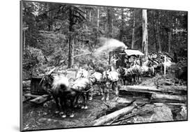 Loggers and Their Logs-Clark Kinsey-Mounted Art Print