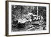 Loggers and Their Logs-Clark Kinsey-Framed Art Print