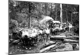 Loggers and Their Logs-Clark Kinsey-Mounted Art Print