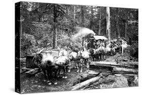 Loggers and Their Logs-Clark Kinsey-Stretched Canvas