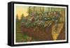 Loggers on Felled Tree, Washington-null-Framed Stretched Canvas