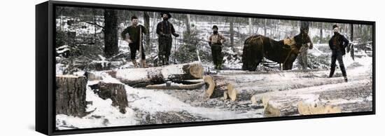 Loggers Using a "Go-Devil" Sledge in Minnesota, 1890s-null-Framed Stretched Canvas