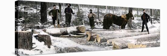 Loggers Using a "Go-Devil" Sledge in Minnesota, 1890s-null-Stretched Canvas