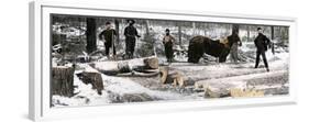 Loggers Using a "Go-Devil" Sledge in Minnesota, 1890s-null-Framed Premium Giclee Print