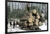 Loggers with an Ordinary Haul on an Ox-Drawn Sledge, Minnesota, c.1890-null-Framed Giclee Print