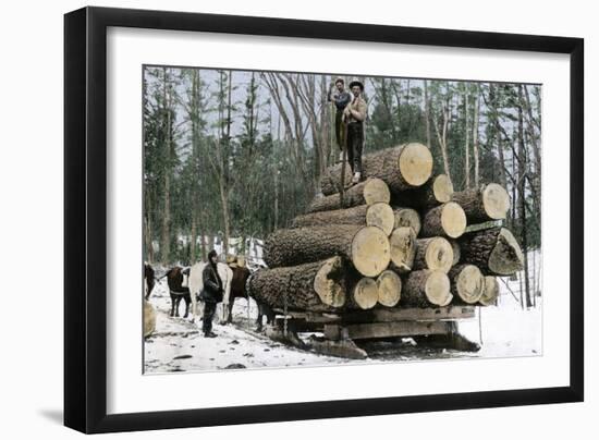 Loggers with an Ordinary Haul on an Ox-Drawn Sledge, Minnesota, c.1890-null-Framed Giclee Print