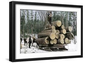 Loggers with an Ordinary Haul on an Ox-Drawn Sledge, Minnesota, c.1890-null-Framed Giclee Print