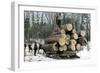 Loggers with an Ordinary Haul on an Ox-Drawn Sledge, Minnesota, c.1890-null-Framed Giclee Print