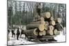 Loggers with an Ordinary Haul on an Ox-Drawn Sledge, Minnesota, c.1890-null-Mounted Giclee Print
