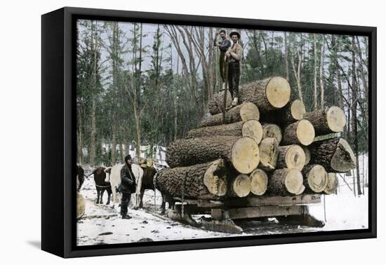 Loggers with an Ordinary Haul on an Ox-Drawn Sledge, Minnesota, c.1890-null-Framed Stretched Canvas