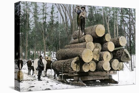 Loggers with an Ordinary Haul on an Ox-Drawn Sledge, Minnesota, c.1890-null-Stretched Canvas