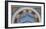 Loggia in the Vatican I (detail)-Raphael-Framed Art Print