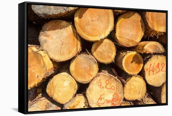 Logging, Auvergne, France, Europe-Peter Groenendijk-Framed Stretched Canvas