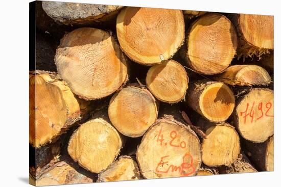 Logging, Auvergne, France, Europe-Peter Groenendijk-Stretched Canvas