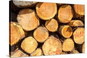 Logging, Auvergne, France, Europe-Peter Groenendijk-Stretched Canvas