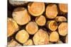 Logging, Auvergne, France, Europe-Peter Groenendijk-Mounted Photographic Print