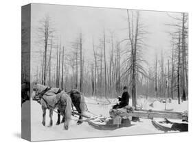 Logging in Michigan, the Sled-null-Stretched Canvas