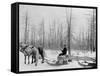 Logging in Michigan, the Sled-null-Framed Stretched Canvas