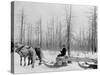 Logging in Michigan, the Sled-null-Stretched Canvas