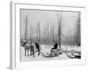 Logging in Michigan, the Sled-null-Framed Photo