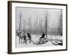 Logging in Michigan, the Sled-null-Framed Photo