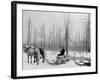 Logging in Michigan, the Sled-null-Framed Photo