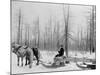 Logging in Michigan, the Sled-null-Mounted Photo