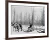 Logging in Michigan, the Sled-null-Framed Photo