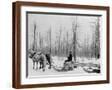 Brown Frame