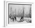 White Frame