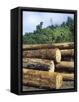 Logging in the Rain Forest, Island of Borneo, Malaysia-Anthony Waltham-Framed Stretched Canvas