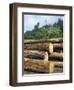 Logging in the Rain Forest, Island of Borneo, Malaysia-Anthony Waltham-Framed Photographic Print