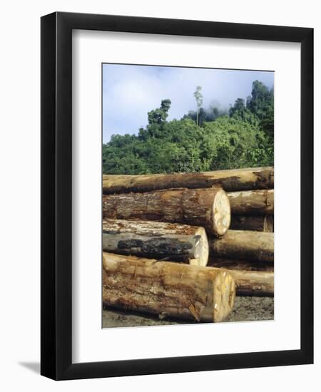 Logging in the Rain Forest, Island of Borneo, Malaysia-Anthony Waltham-Framed Photographic Print