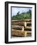 Logging in the Rain Forest, Island of Borneo, Malaysia-Anthony Waltham-Framed Photographic Print