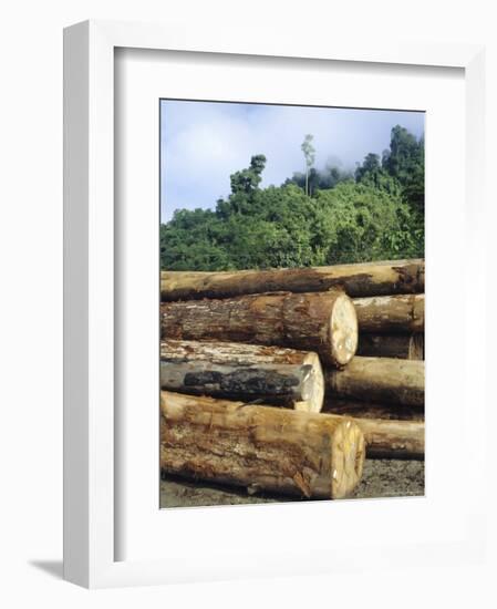 Logging in the Rain Forest, Island of Borneo, Malaysia-Anthony Waltham-Framed Photographic Print