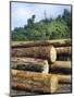 Logging in the Rain Forest, Island of Borneo, Malaysia-Anthony Waltham-Mounted Photographic Print