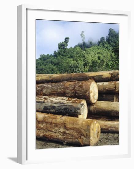 Logging in the Rain Forest, Island of Borneo, Malaysia-Anthony Waltham-Framed Photographic Print