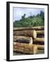 Logging in the Rain Forest, Island of Borneo, Malaysia-Anthony Waltham-Framed Photographic Print