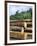 Logging in the Rain Forest, Island of Borneo, Malaysia-Anthony Waltham-Framed Photographic Print