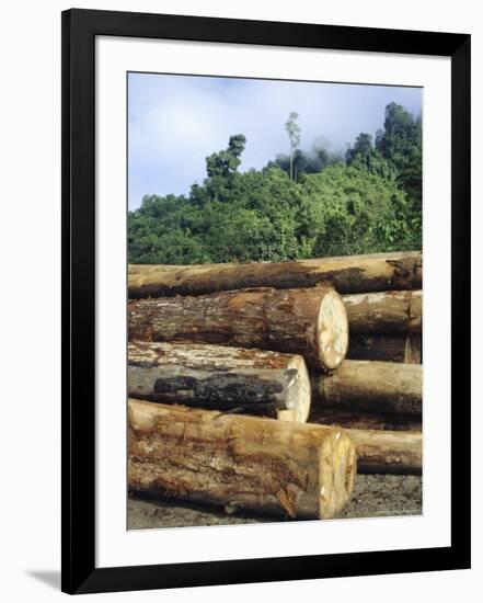 Logging in the Rain Forest, Island of Borneo, Malaysia-Anthony Waltham-Framed Photographic Print