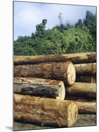 Logging in the Rain Forest, Island of Borneo, Malaysia-Anthony Waltham-Mounted Photographic Print