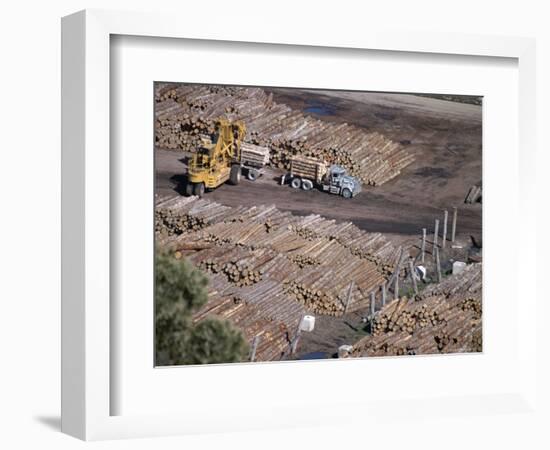 Logging Plant at Port, Gisborne, East Coast, North Island, New Zealand-D H Webster-Framed Photographic Print