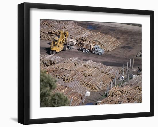 Logging Plant at Port, Gisborne, East Coast, North Island, New Zealand-D H Webster-Framed Photographic Print