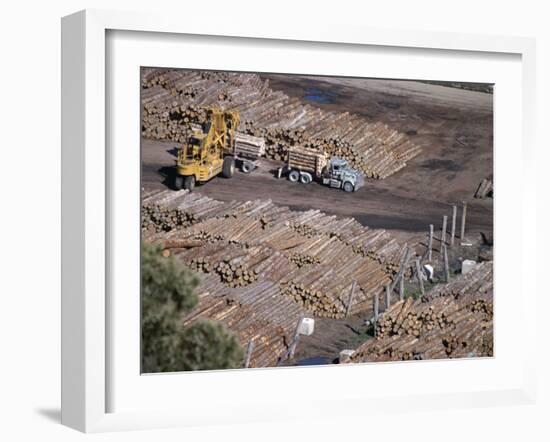 Logging Plant at Port, Gisborne, East Coast, North Island, New Zealand-D H Webster-Framed Photographic Print