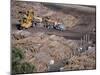 Logging Plant at Port, Gisborne, East Coast, North Island, New Zealand-D H Webster-Mounted Photographic Print