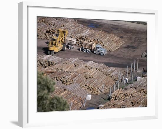 Logging Plant at Port, Gisborne, East Coast, North Island, New Zealand-D H Webster-Framed Photographic Print