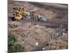 Logging Plant at Port, Gisborne, East Coast, North Island, New Zealand-D H Webster-Mounted Photographic Print