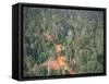 Logging Road Through Rainforest, Brazil, South America-Robin Hanbury-tenison-Framed Stretched Canvas